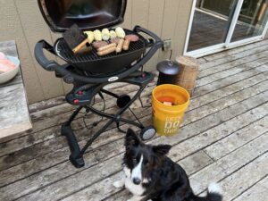 Skye, our youngest Border Collie, sits in front of an electric grill cooking July 4th faire, including Impossible Burgers and Brats.