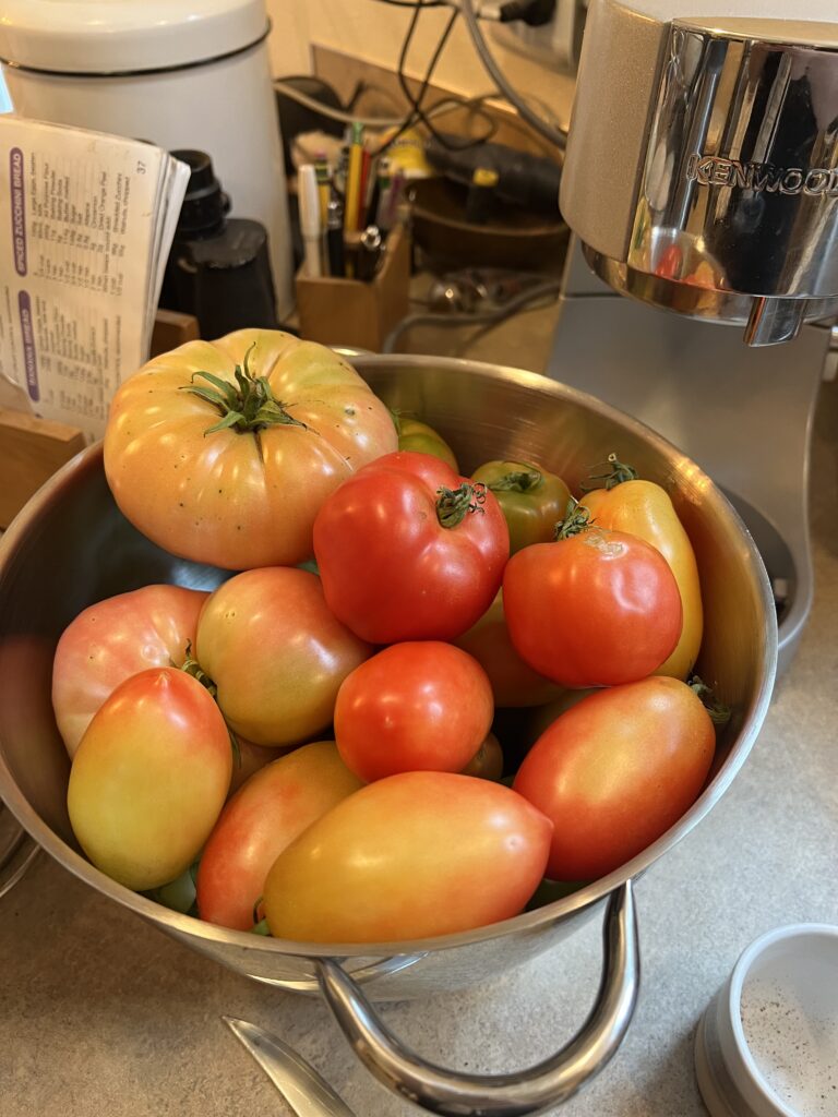 A bowl of different tomatoes of different sizes and ripened states. 