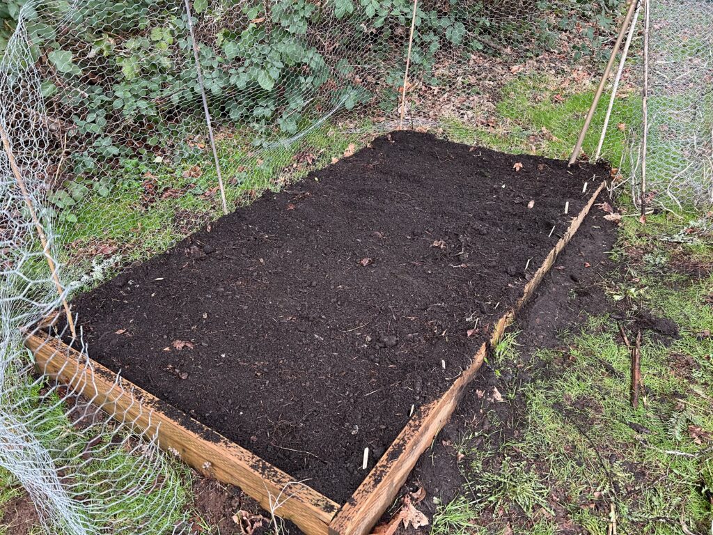  A freshly-seeded 8x4 garden raised bed, with chicken wire surrounding the bed to protect from deer. 